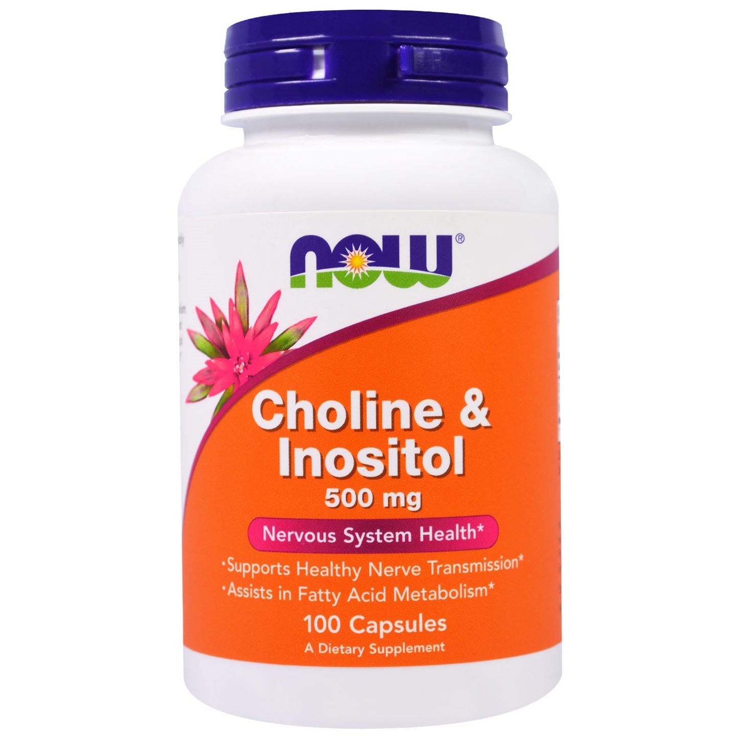 NOW Choline & Inositol, 500 mg