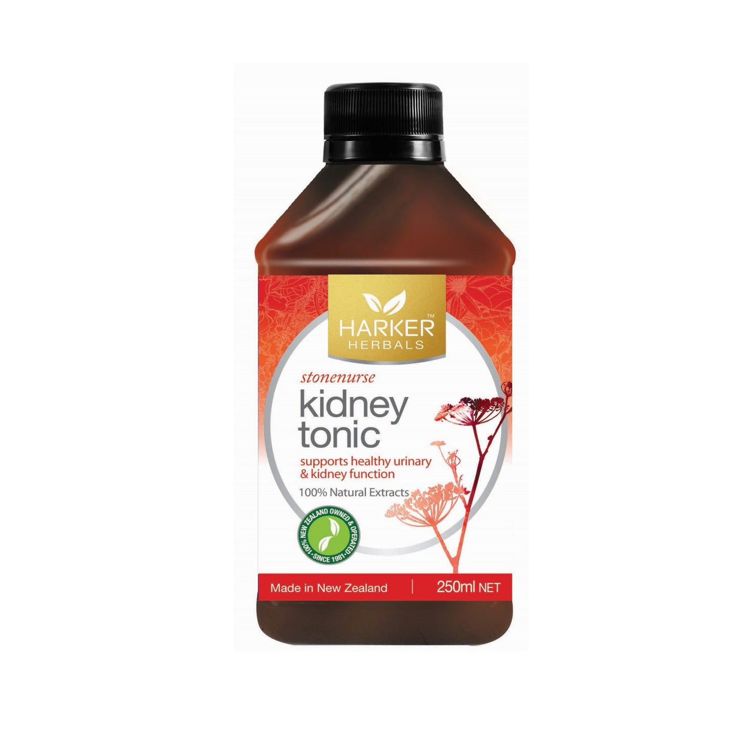 Kidney Tonic