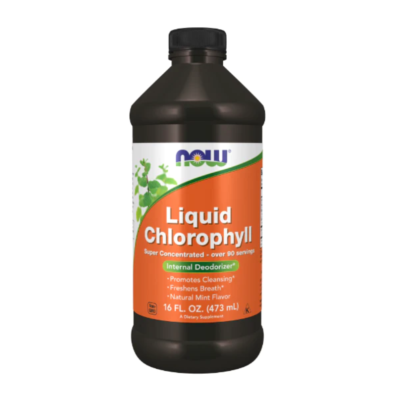 NOW Chlorophyll Liquid 473ml - Super Concentrated- Mint Flavour