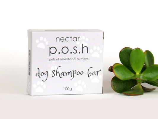 P.O.S.H Dog Shampoo Bar Large