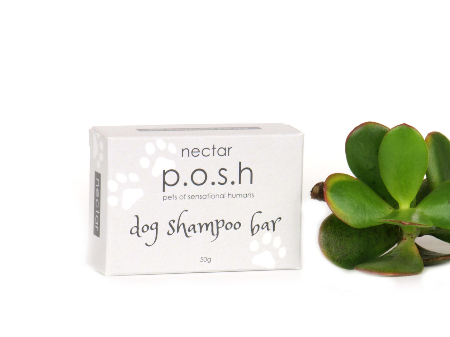 P.O.S.H Dog Shampoo Bar Large